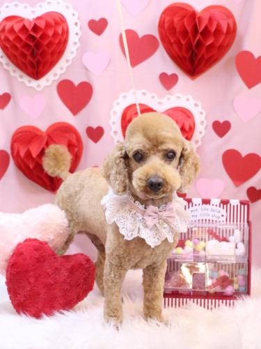 20240227ノンくん